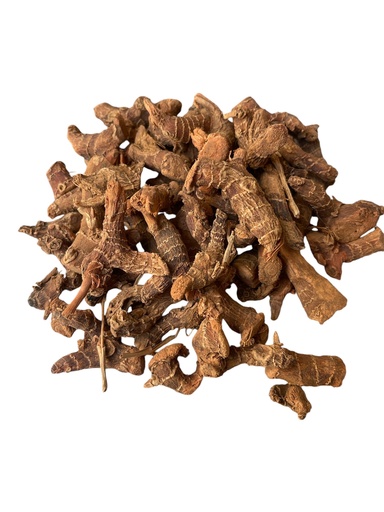 Galanga Ginseng